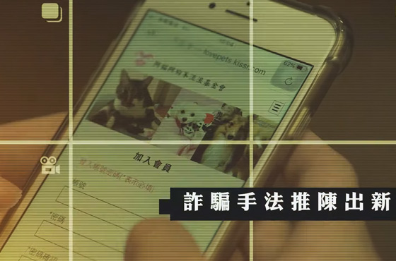 捐款匯錢到這兒就好?!